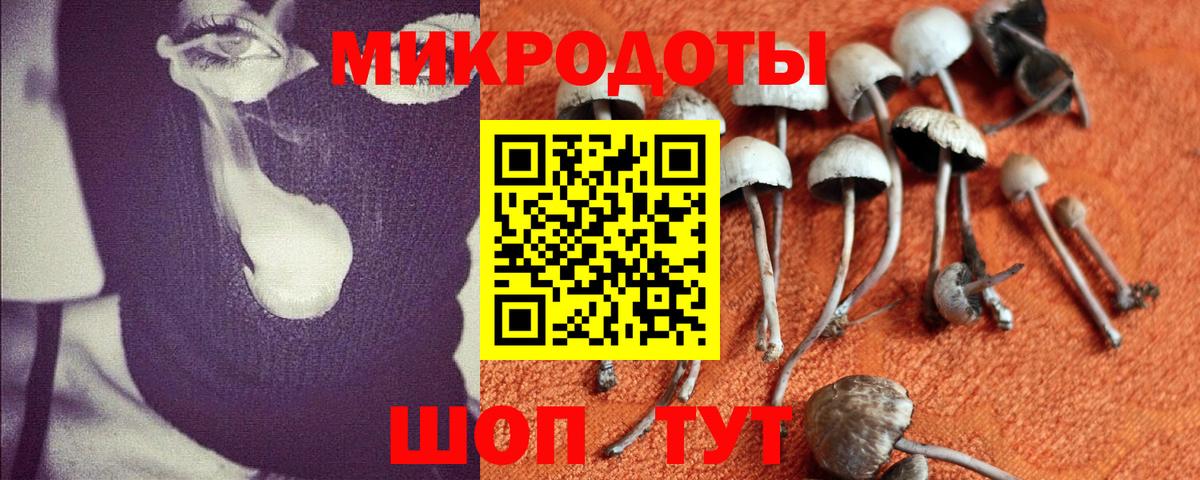 Галлюциногенные грибы мицелий  Галлюциногенные грибы Magic Shrooms  Вход с VPN  Павловский Посад 